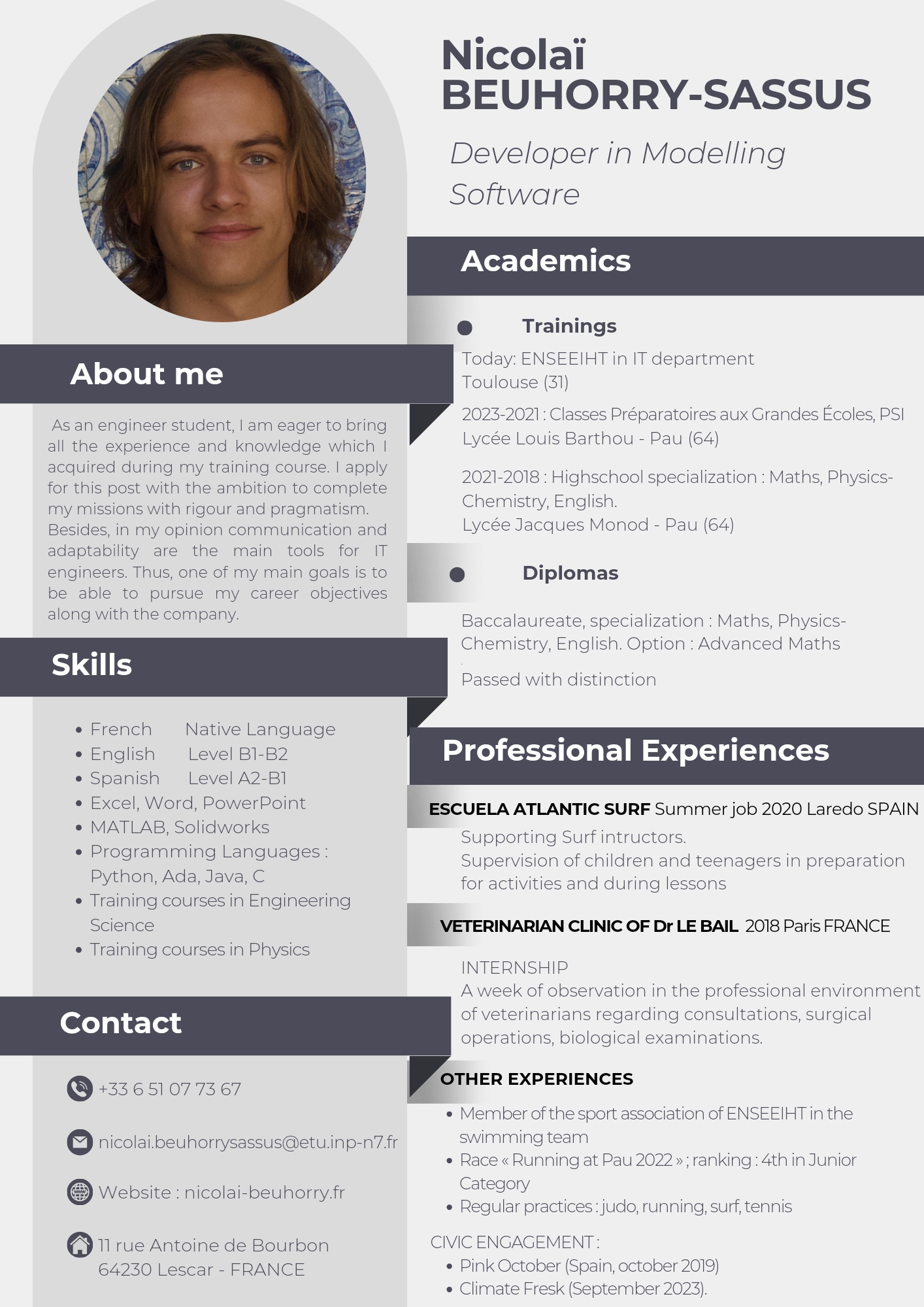 CV English